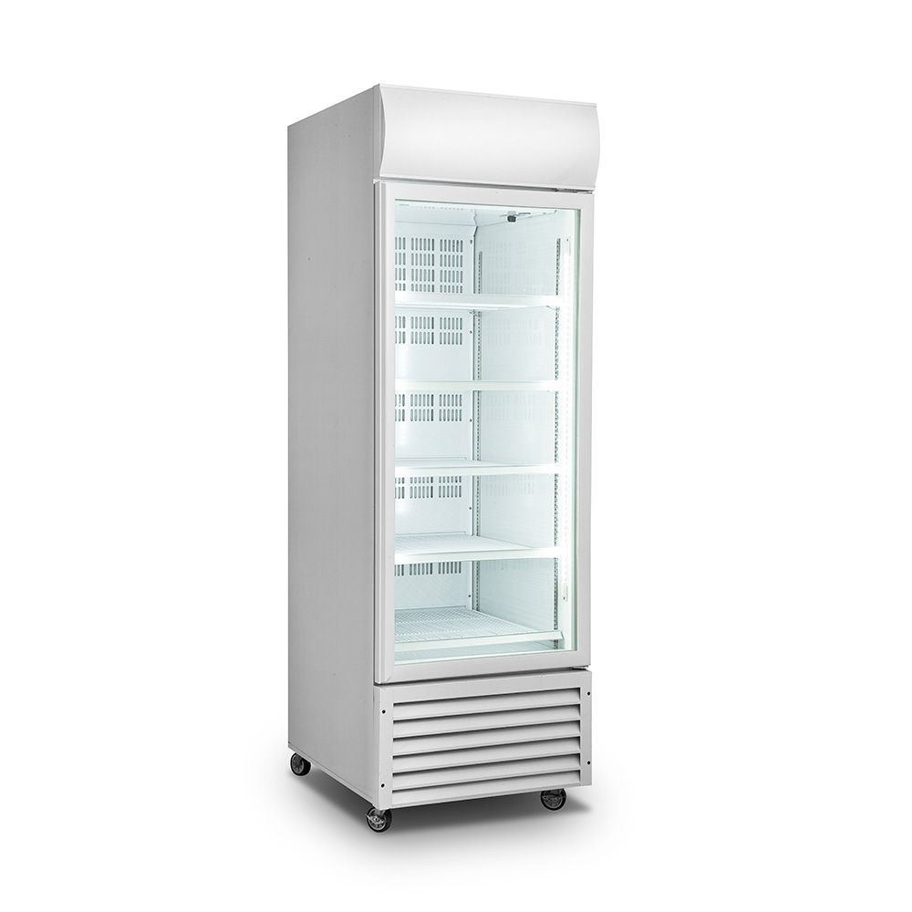 Thermaster 2NDs: Thersmaster Single Glass Door Colourbond Upright Drink Fridge LG-370GT-QLD119